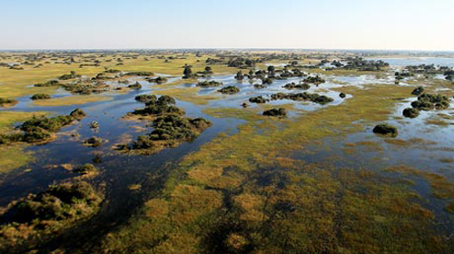 Botswana: máy bay rơi, 8 người chết Botswana: máy bay rơi, 8 người chết