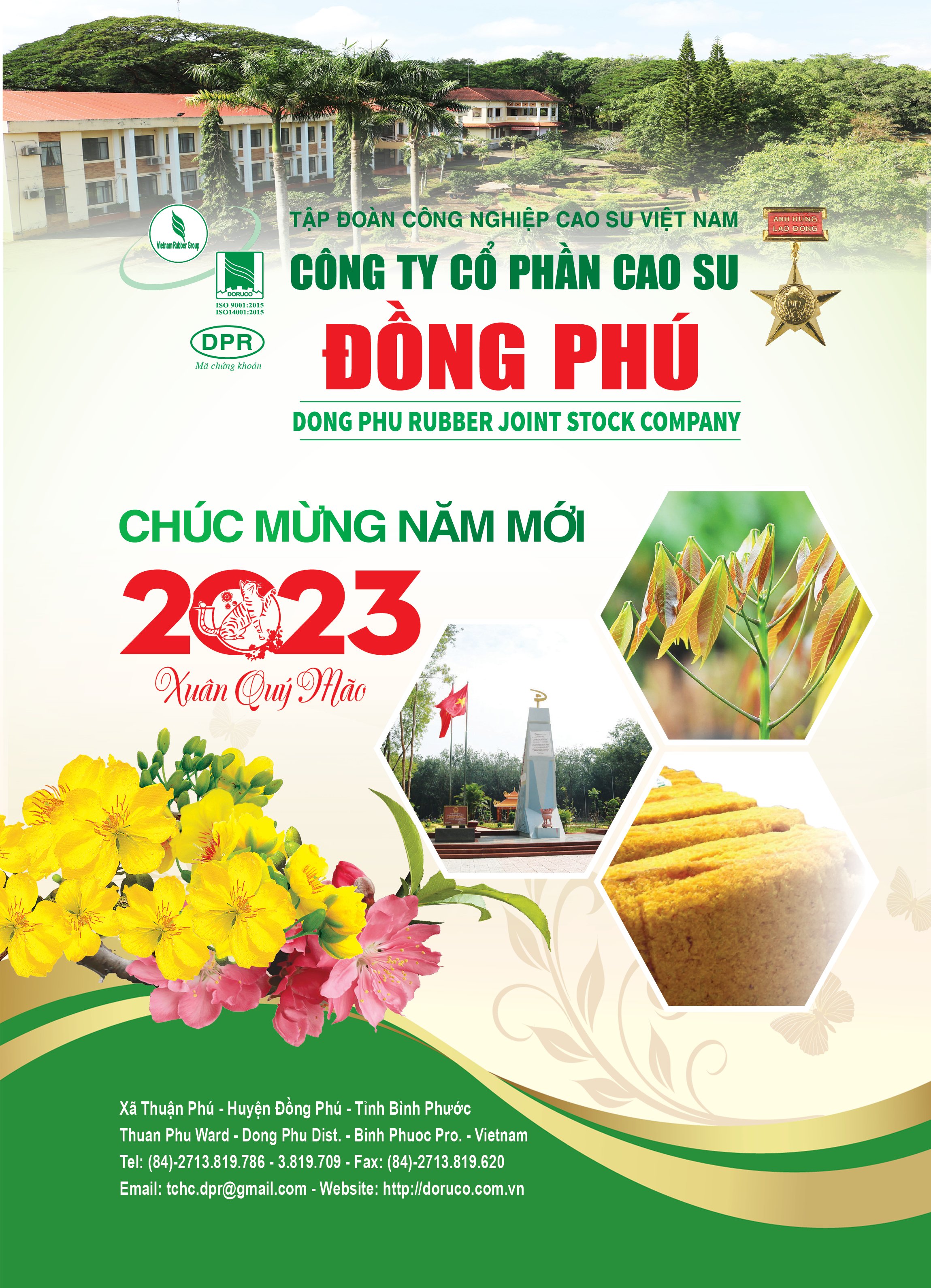 37_cao_su_dong_phu_10521117012023.jpg
