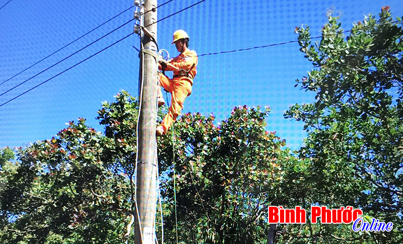 37 hộ dân thôn 1, xã Minh Hưng đã có điện 37 hộ dân thôn 1, xã Minh Hưng đã có điện