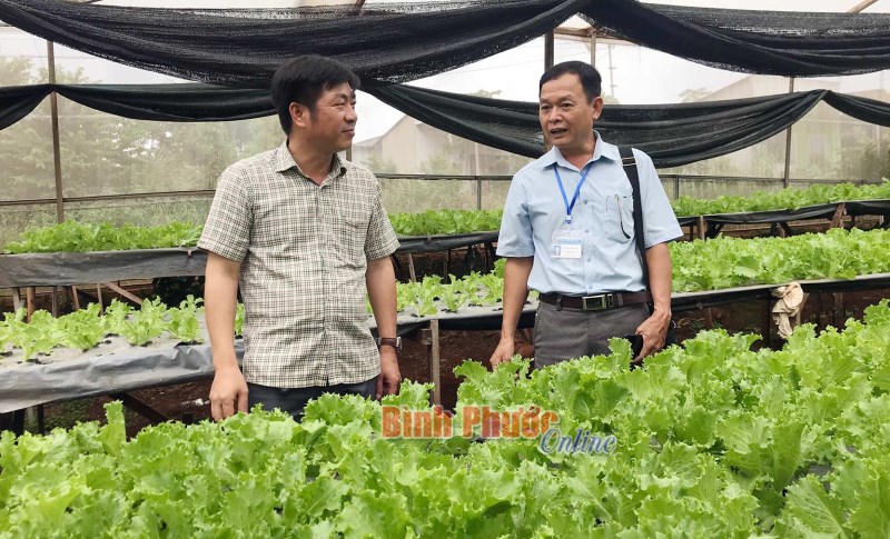 Viết tiếp giấc mơ nông nghiệp sạch Viết tiếp giấc mơ nông nghiệp sạch