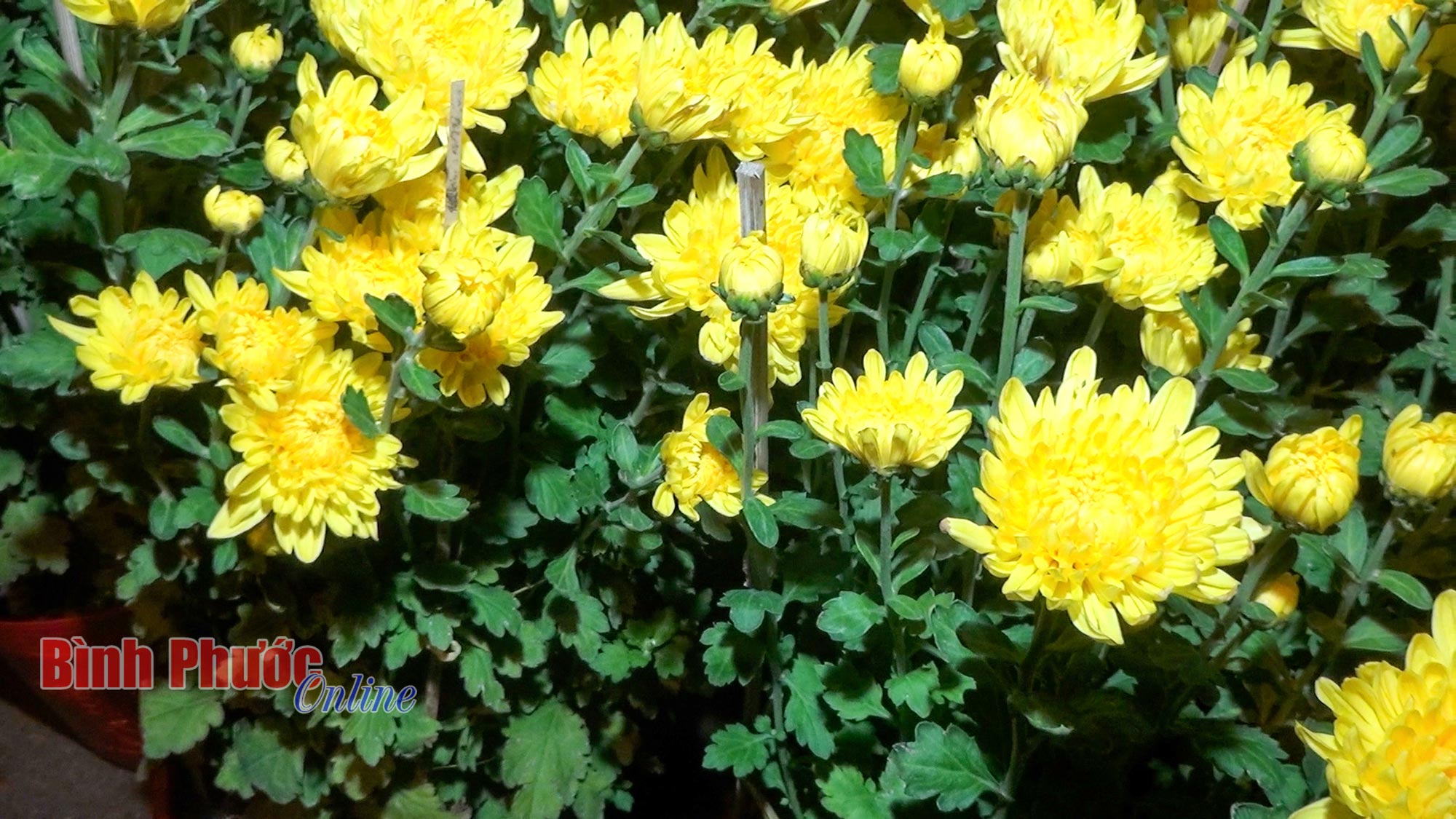 3_10114106022024.jpg