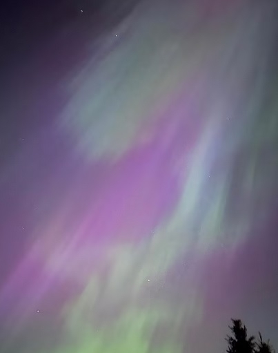 3_16573511052024.jpg