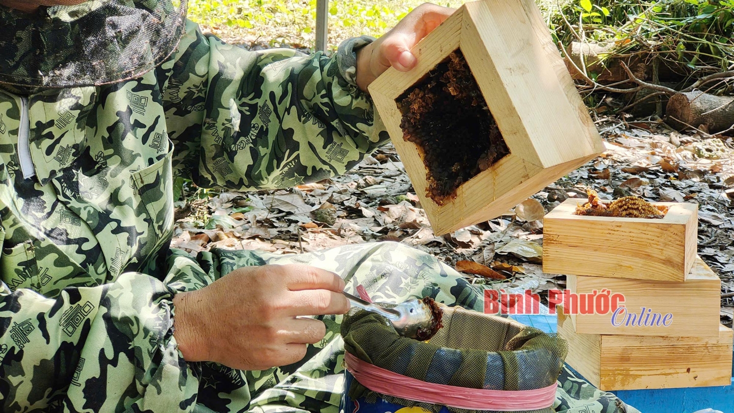 3b_09440529082024.jpg