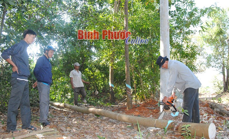 Đồng Phú phát huy vai trò MTTQ trong xây dựng nông thôn mới Đồng Phú phát huy vai trò MTTQ trong xây dựng nông thôn mới