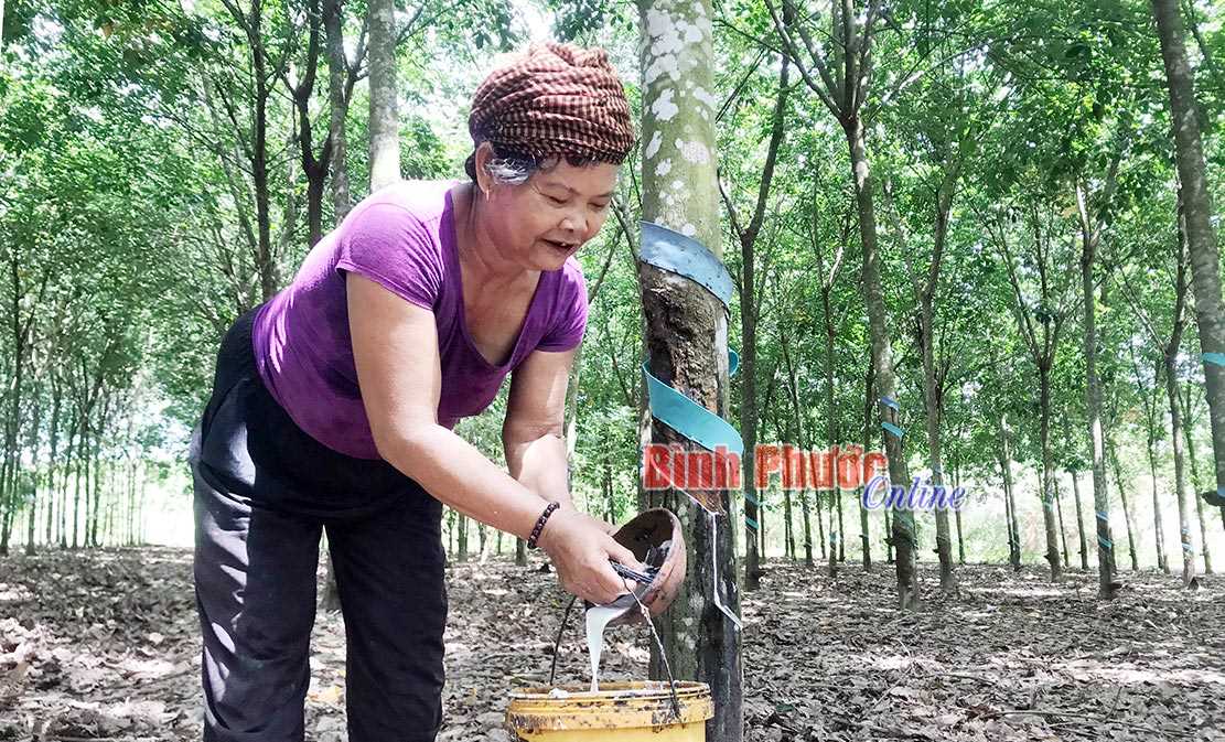 Quang Minh quyết tâm không còn hộ DTTS nghèo