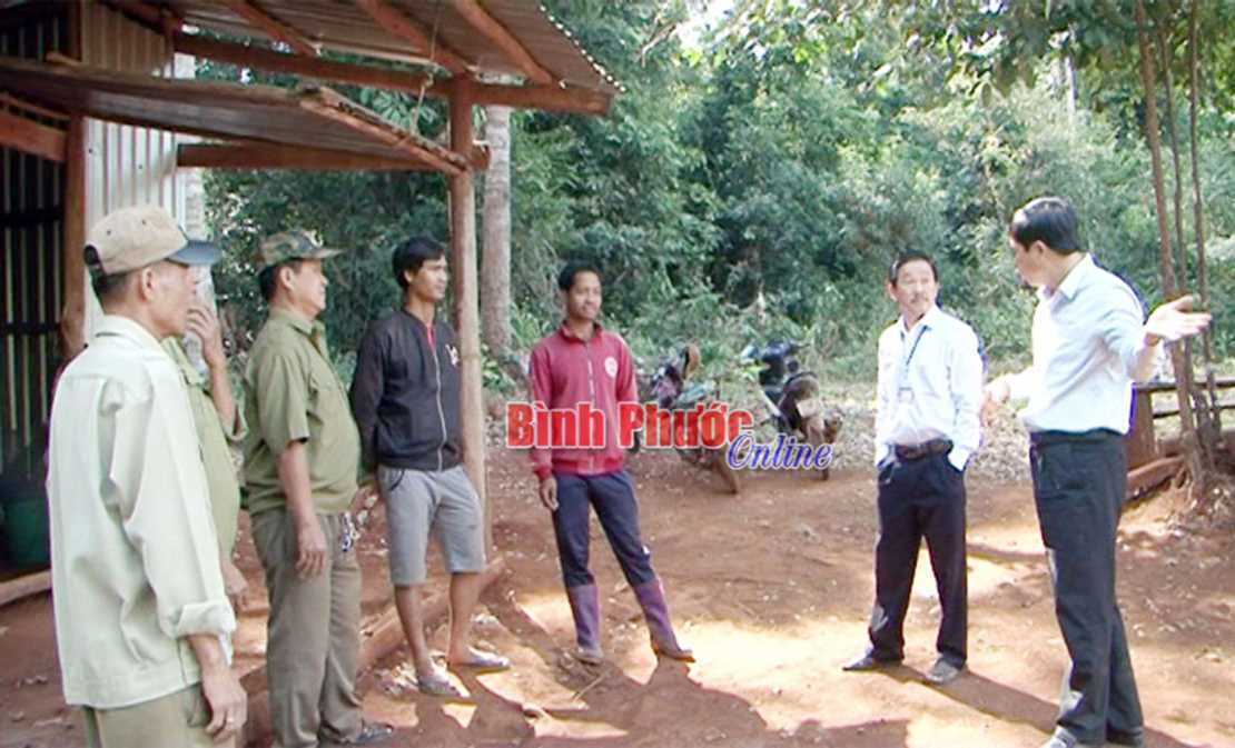 Khơi sức dân trong quản lý, bảo vệ rừng