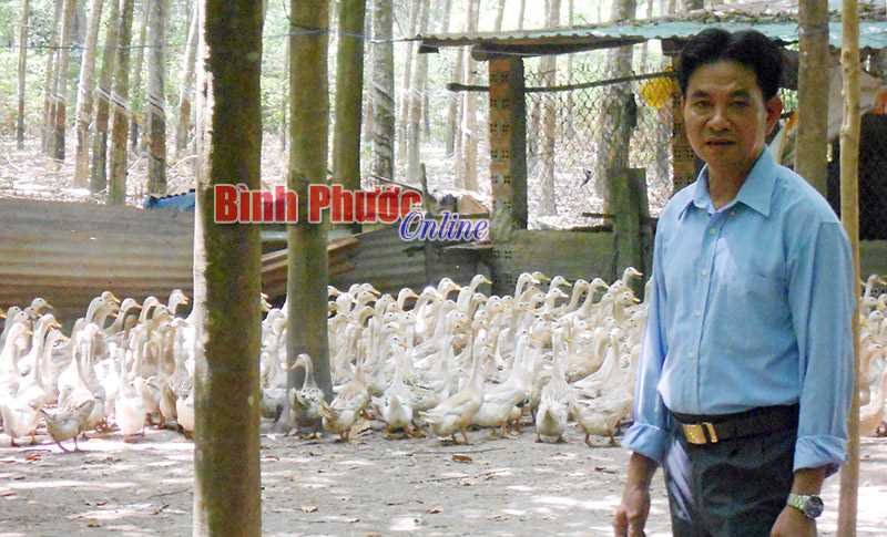 Không cho đất nghỉ Không cho đất nghỉ