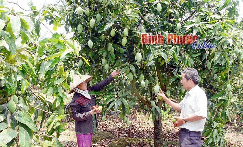 Thay đổi tư duy sản xuất từ một chương trình Thay đổi tư duy sản xuất từ một chương trình