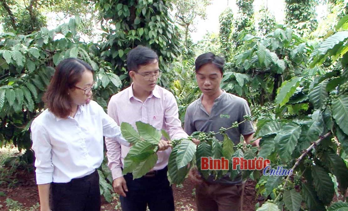 Giảm nghèo bền vững từ tín dụng chính sách Giảm nghèo bền vững từ tín dụng chính sách