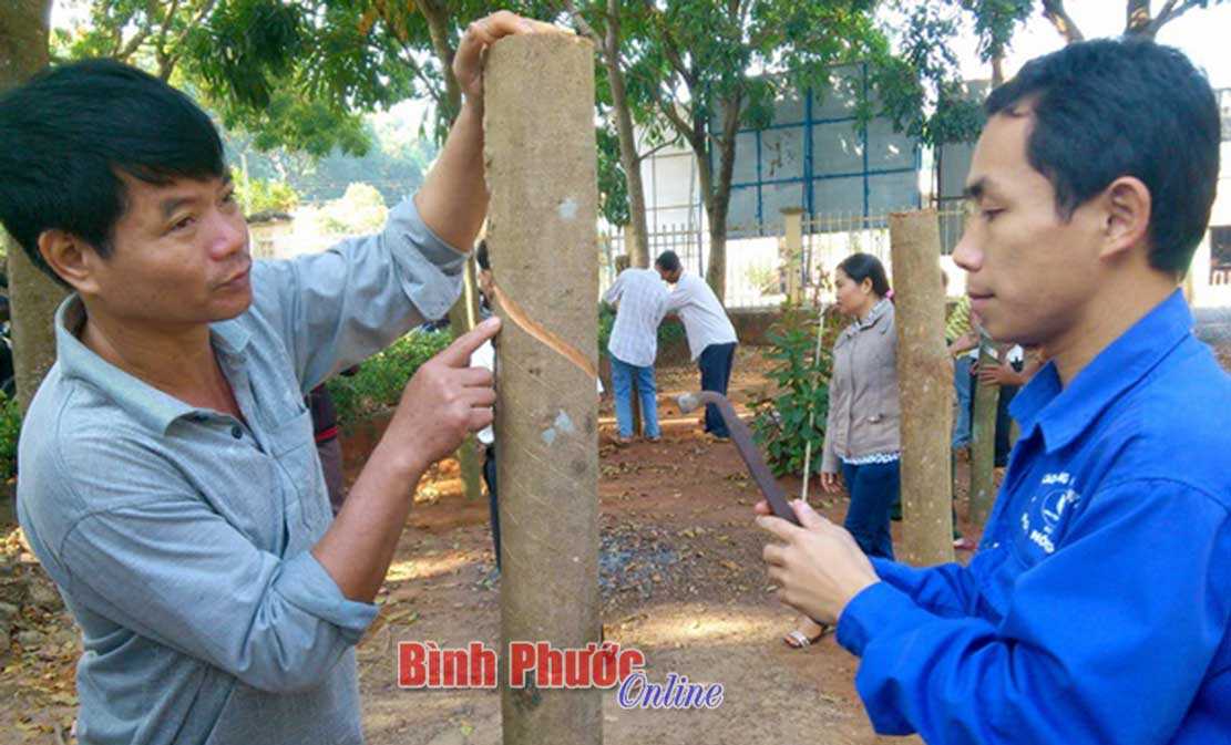 Đào tạo nghề cho lao động nông thôn gắn với nhu cầu thực tế Đào tạo nghề cho lao động nông thôn gắn với nhu cầu thực tế