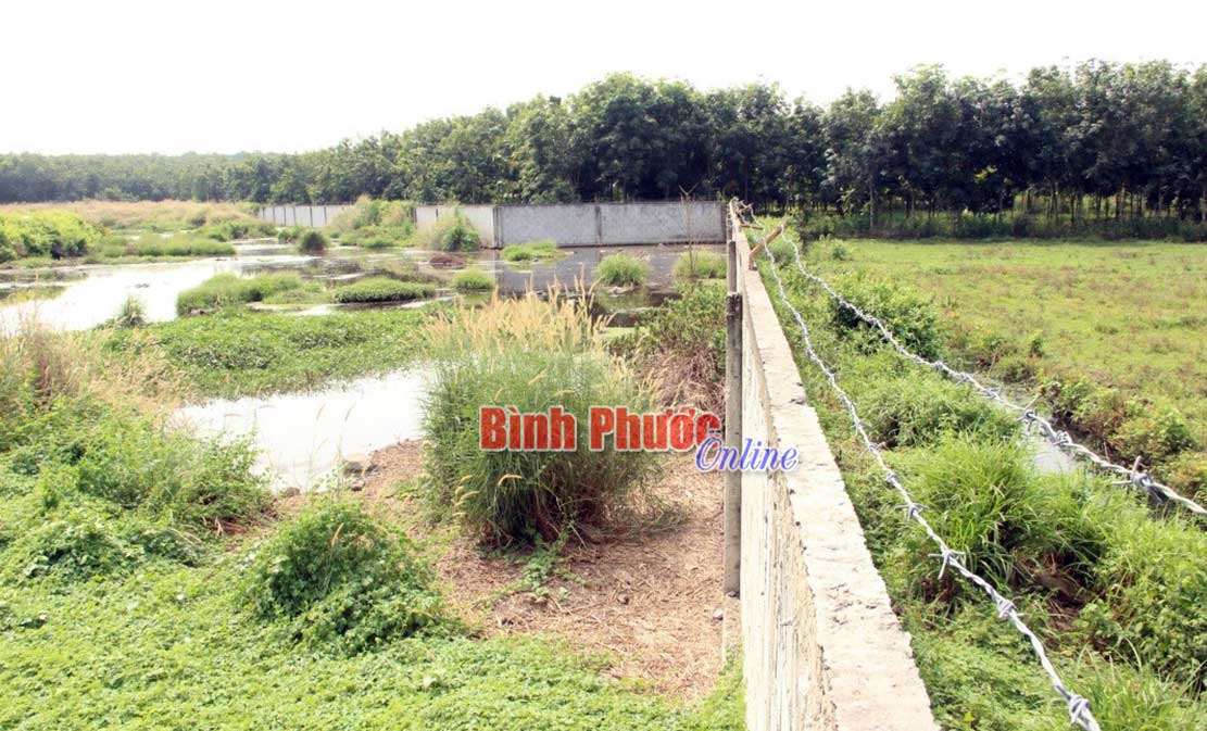 S.O.S phía đầu nguồn S.O.S phía đầu nguồn