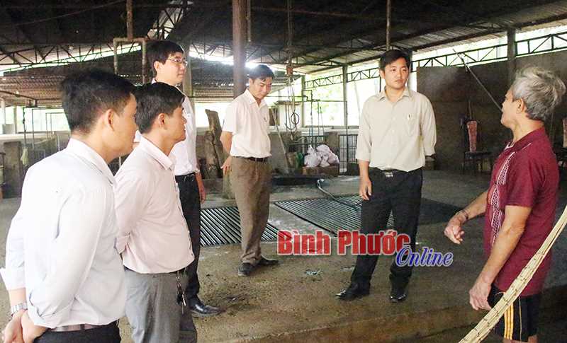 Phú Riềng tăng cường phòng, chống dịch tả lợn châu Phi Phú Riềng tăng cường phòng, chống dịch tả lợn châu Phi