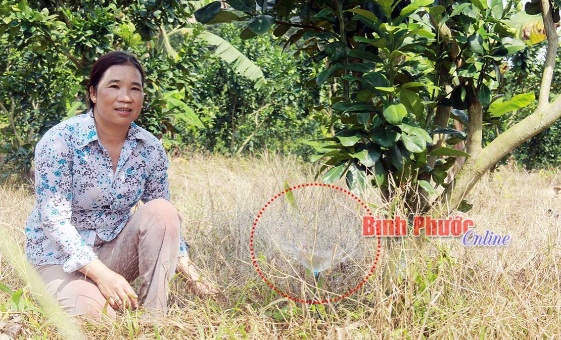 Kinh nghiệm xây dựng NTM ở xã đặc biệt khó khăn