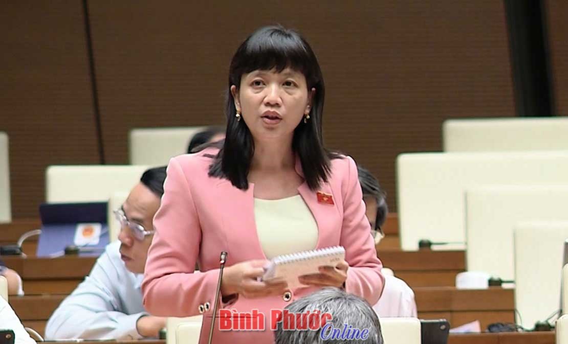 Cần bố trí đủ người để các ban của HĐND hoạt động hiệu quả Cần bố trí đủ người để các ban của HĐND hoạt động hiệu quả