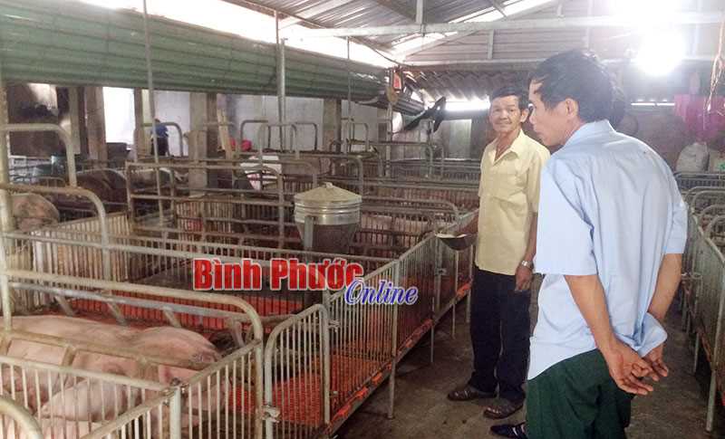 Nhà nông làm giàu từ đa cây, đa con