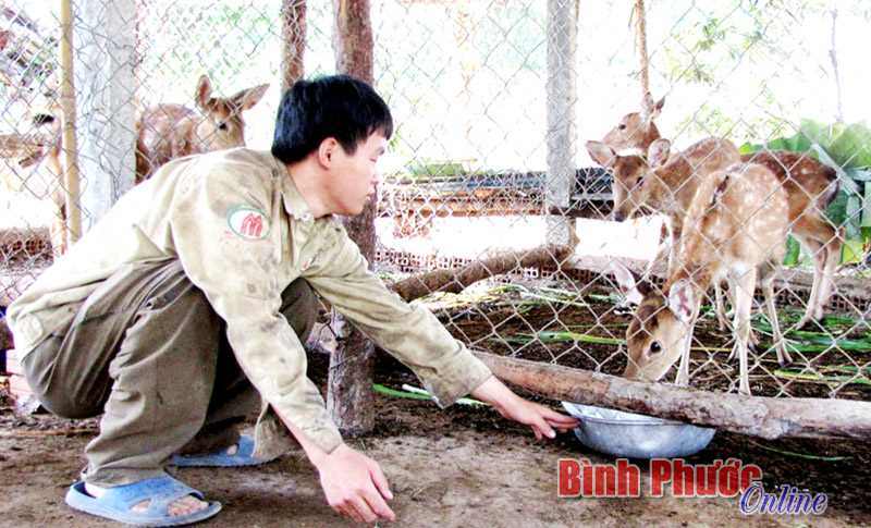 Bù Đăng: 12.445 nông dân được tập huấn khoa học - kỹ thuật Bù Đăng: 12.445 nông dân được tập huấn khoa học - kỹ thuật