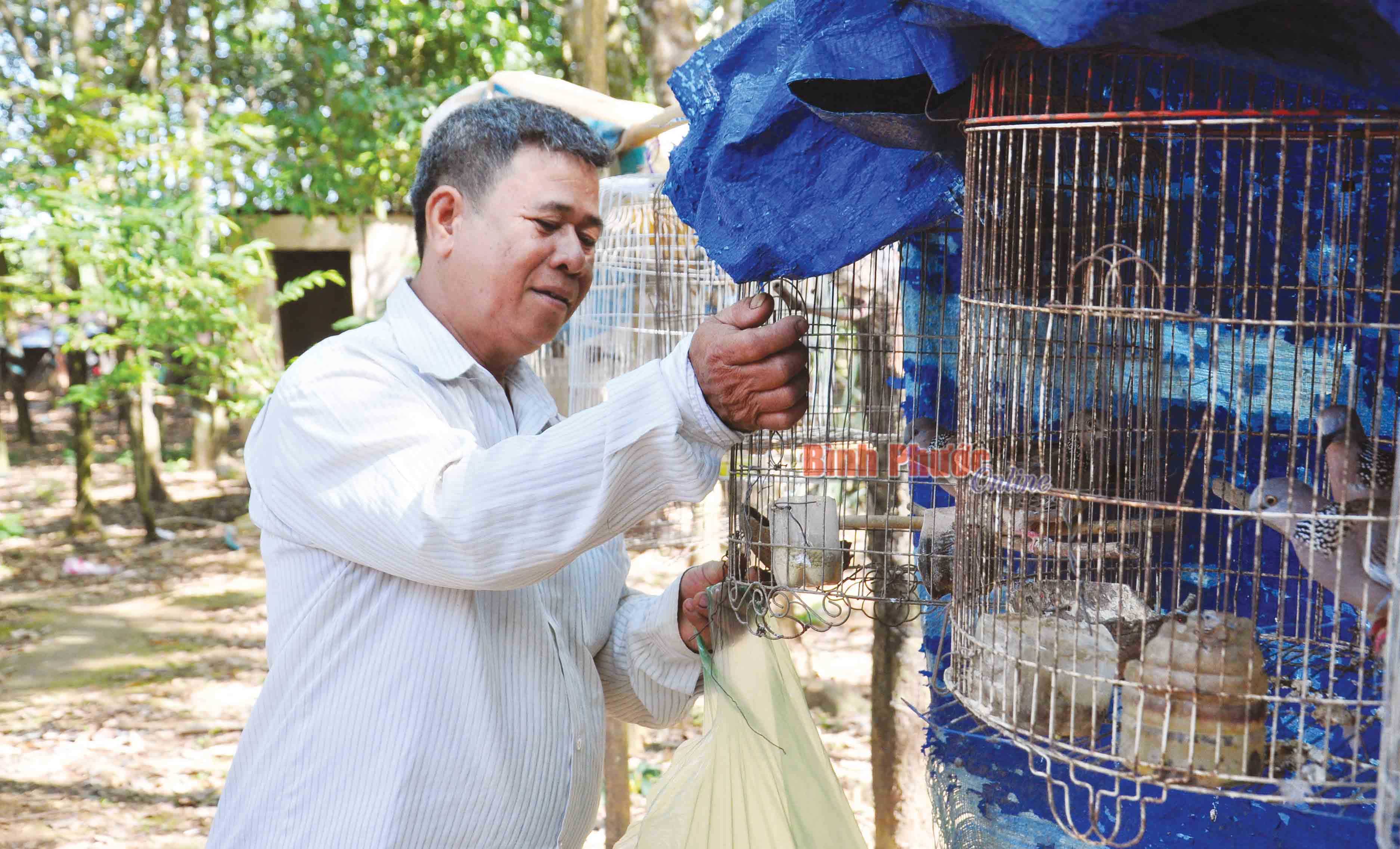 Nông dân sản xuất giỏi tiêu biểu Điểu Tiên