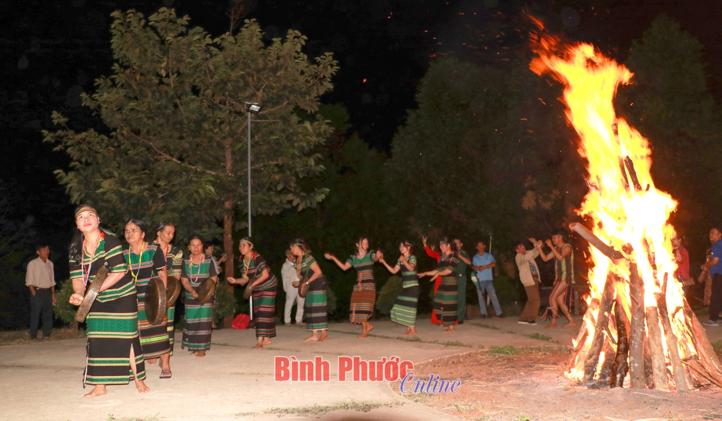 4_10541010012025.jpg