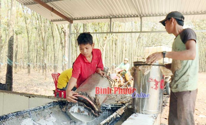 Cuộc sống ổn định nhờ làm công nhân Cuộc sống ổn định nhờ làm công nhân