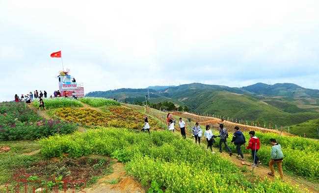 Thơ mộng điểm dừng chân trên đỉnh đèo Pha Đin Thơ mộng điểm dừng chân trên đỉnh đèo Pha Đin