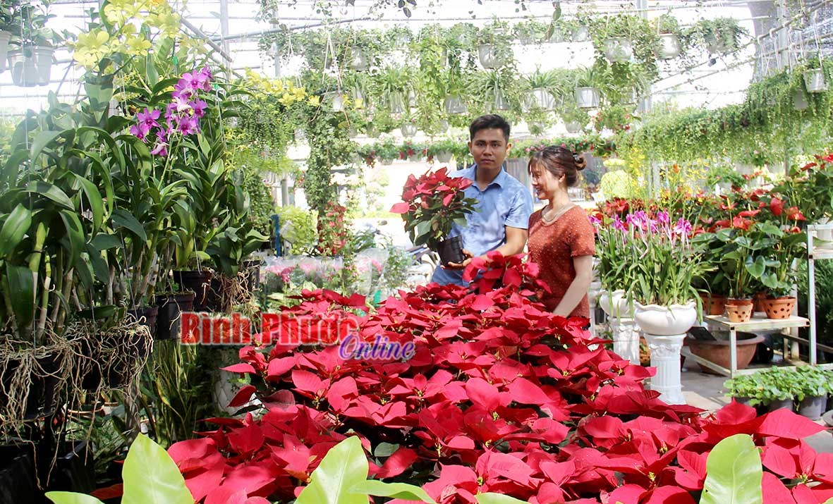 Hoa cảnh vào xuân Hoa cảnh vào xuân