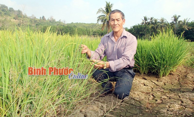 Sơn Long “khát” nước