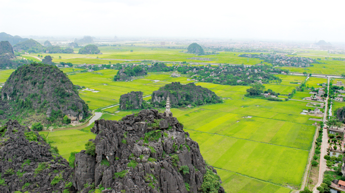 Mùa vàng trên Ngô Đồng giang Mùa vàng trên Ngô Đồng giang
