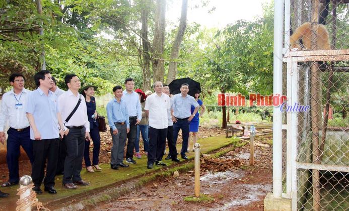 Gắn bảo vệ rừng với hỗ trợ sinh kế cho người dân