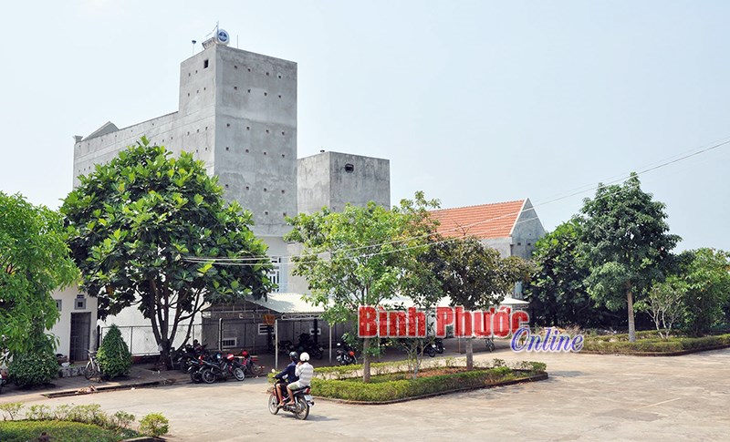Nở rộ nghề “hái lộc trời” - Bài 2