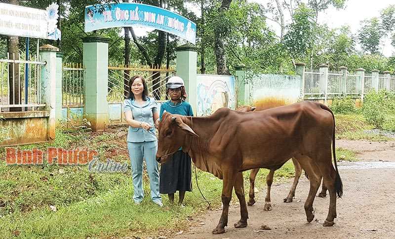 200 hộ nghèo sẽ được hỗ trợ bò giống 200 hộ nghèo sẽ được hỗ trợ bò giống