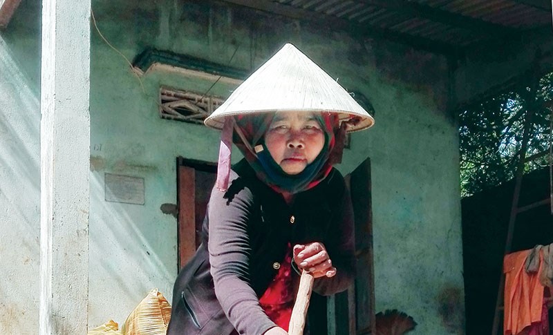 Bà Thị Qué không trồng lại giống lúa cũ