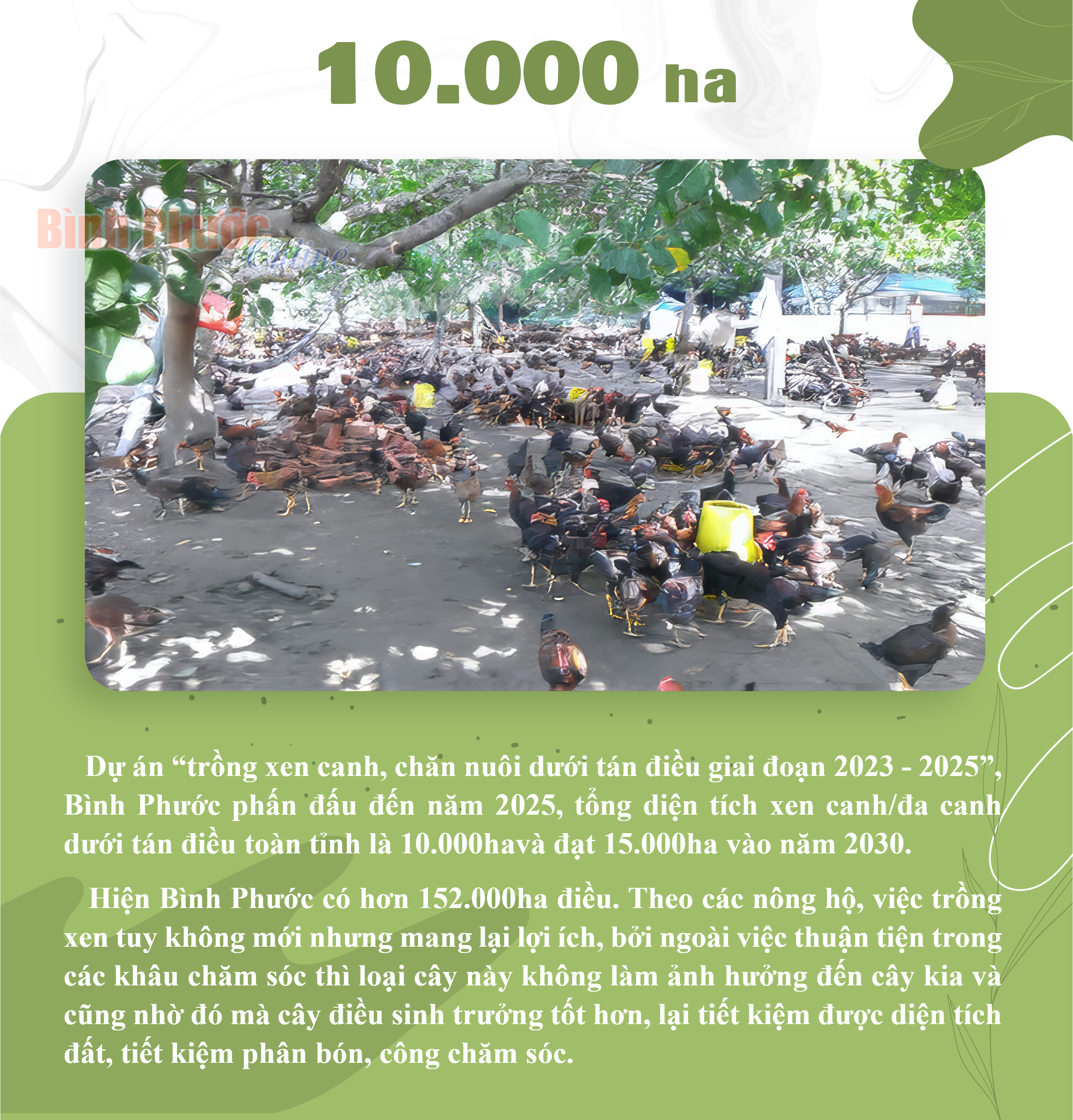 5535233_mesa_de_trabajo_1_06072325032024.png