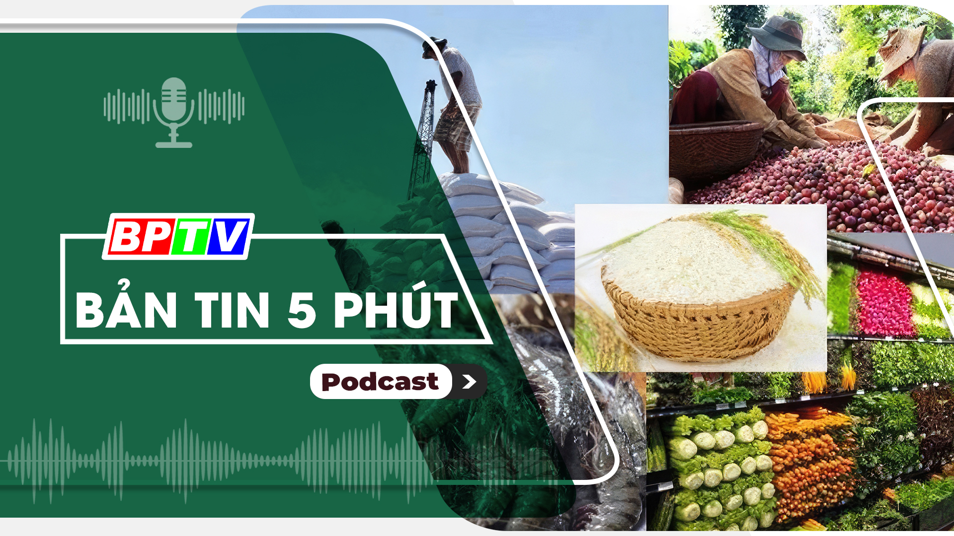 5 phút sáng nay 10-11-2024 5 phút sáng nay 10-11-2024