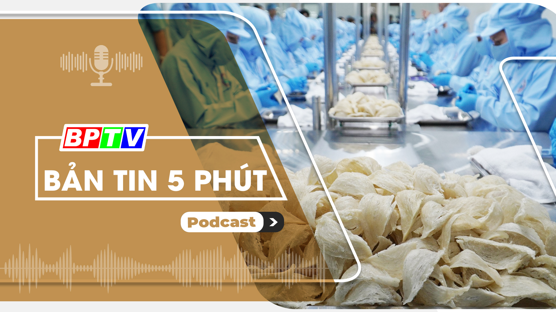 5 phút sáng nay 14-8-2024 5 phút sáng nay 14-8-2024
