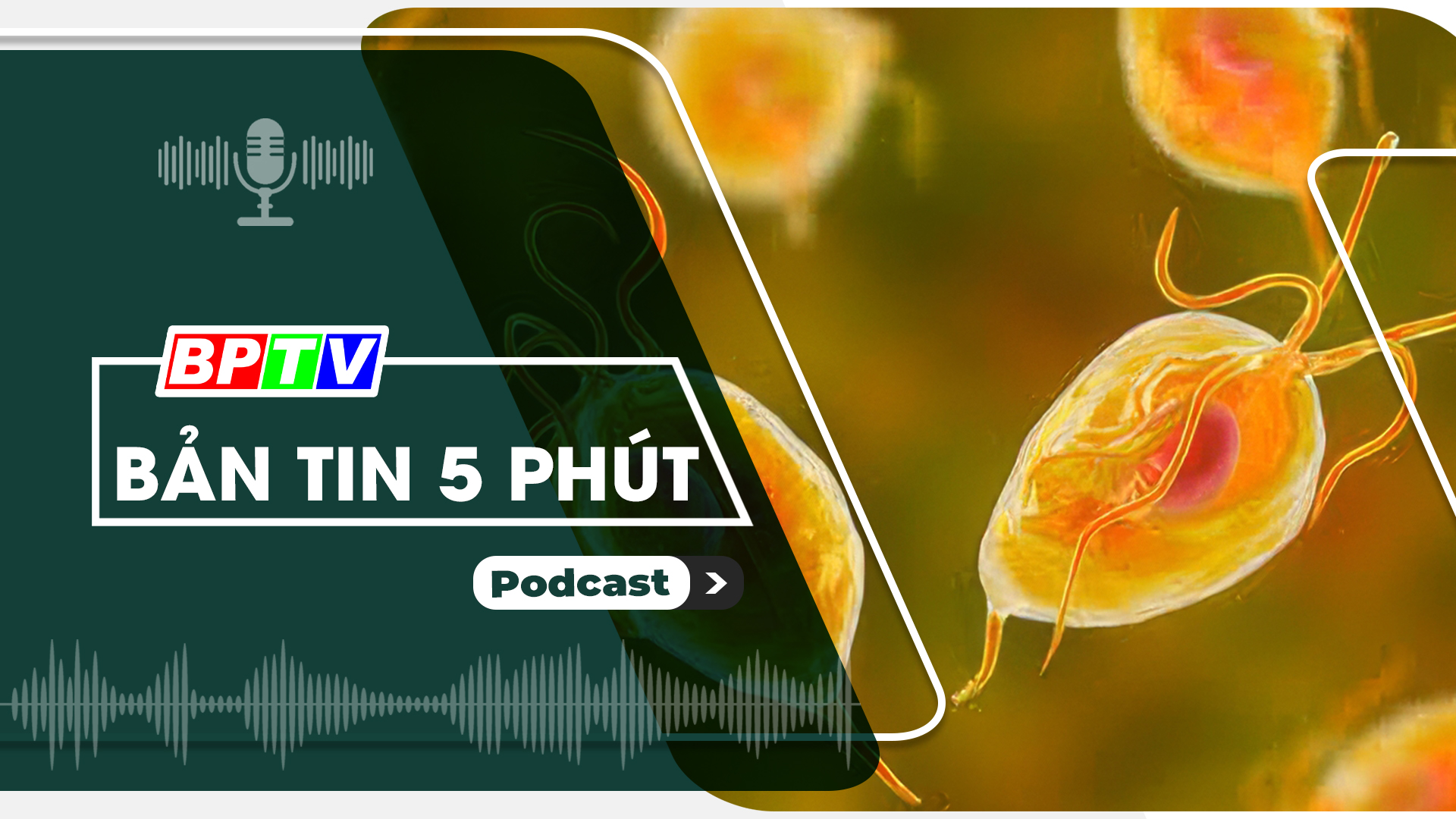 5 phút sáng nay 1-6-2024