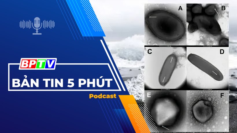 5 phút sáng nay 23-1-2024 5 phút sáng nay 23-1-2024