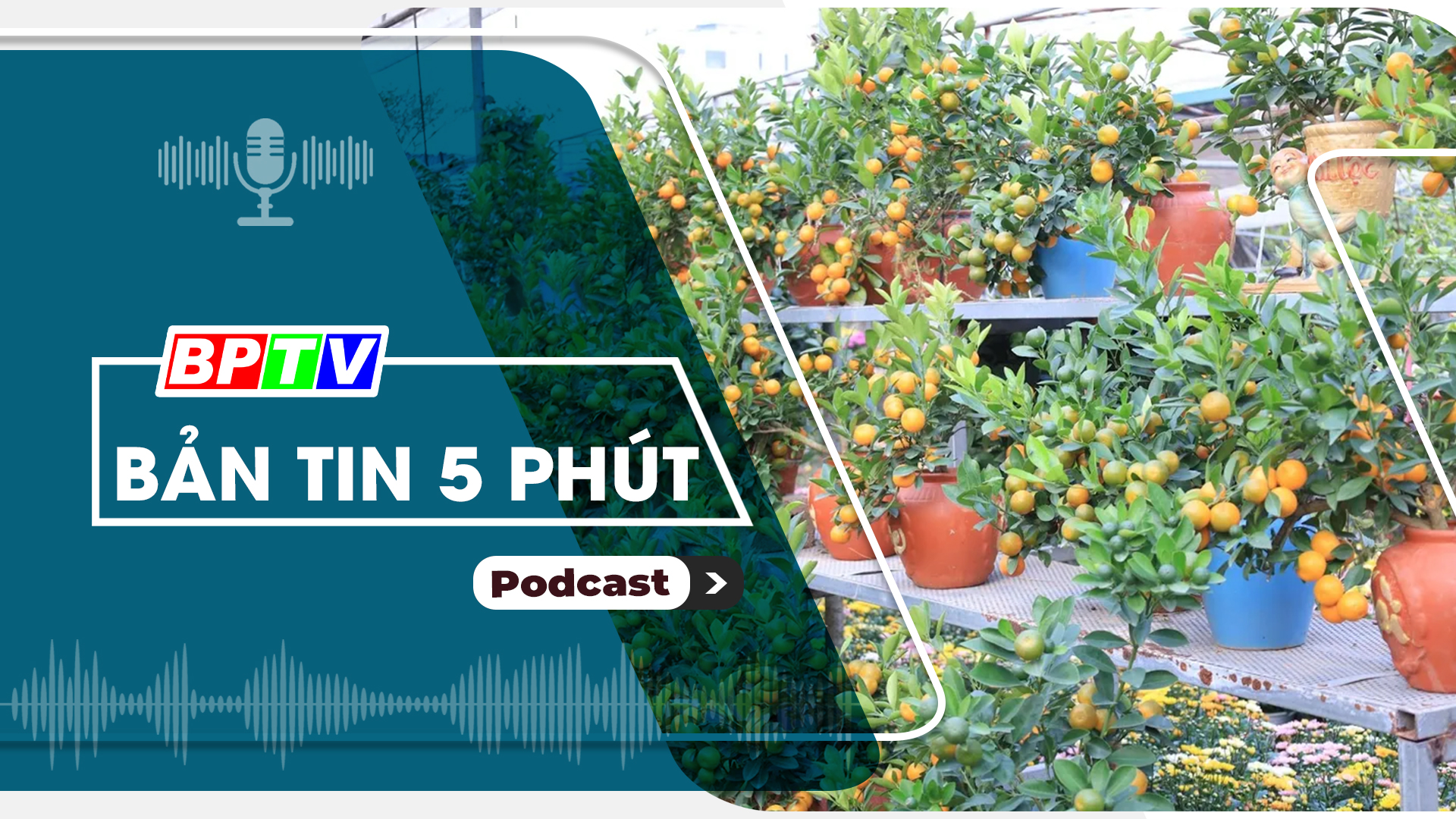 5 phút sáng nay 27-1-2025 5 phút sáng nay 27-1-2025