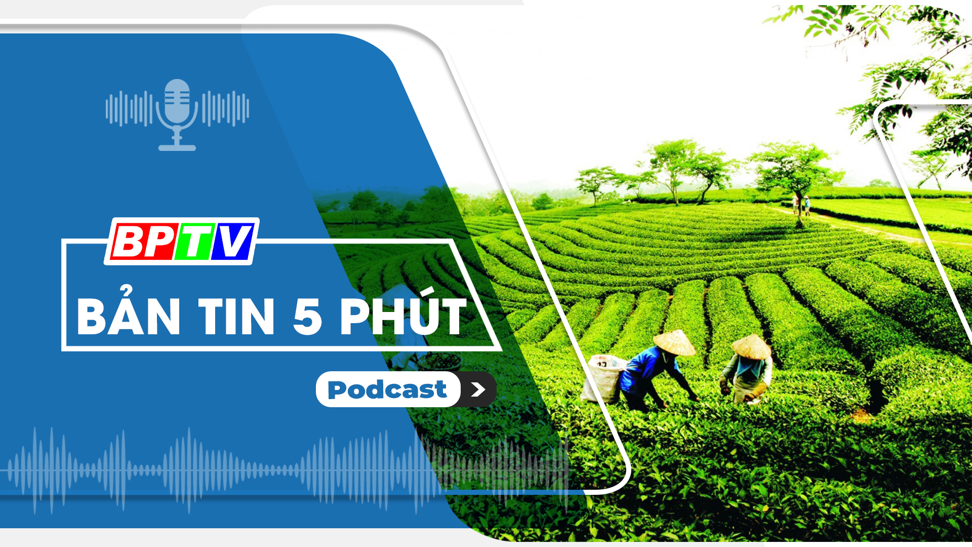 5 phút sáng nay 27-7-2024