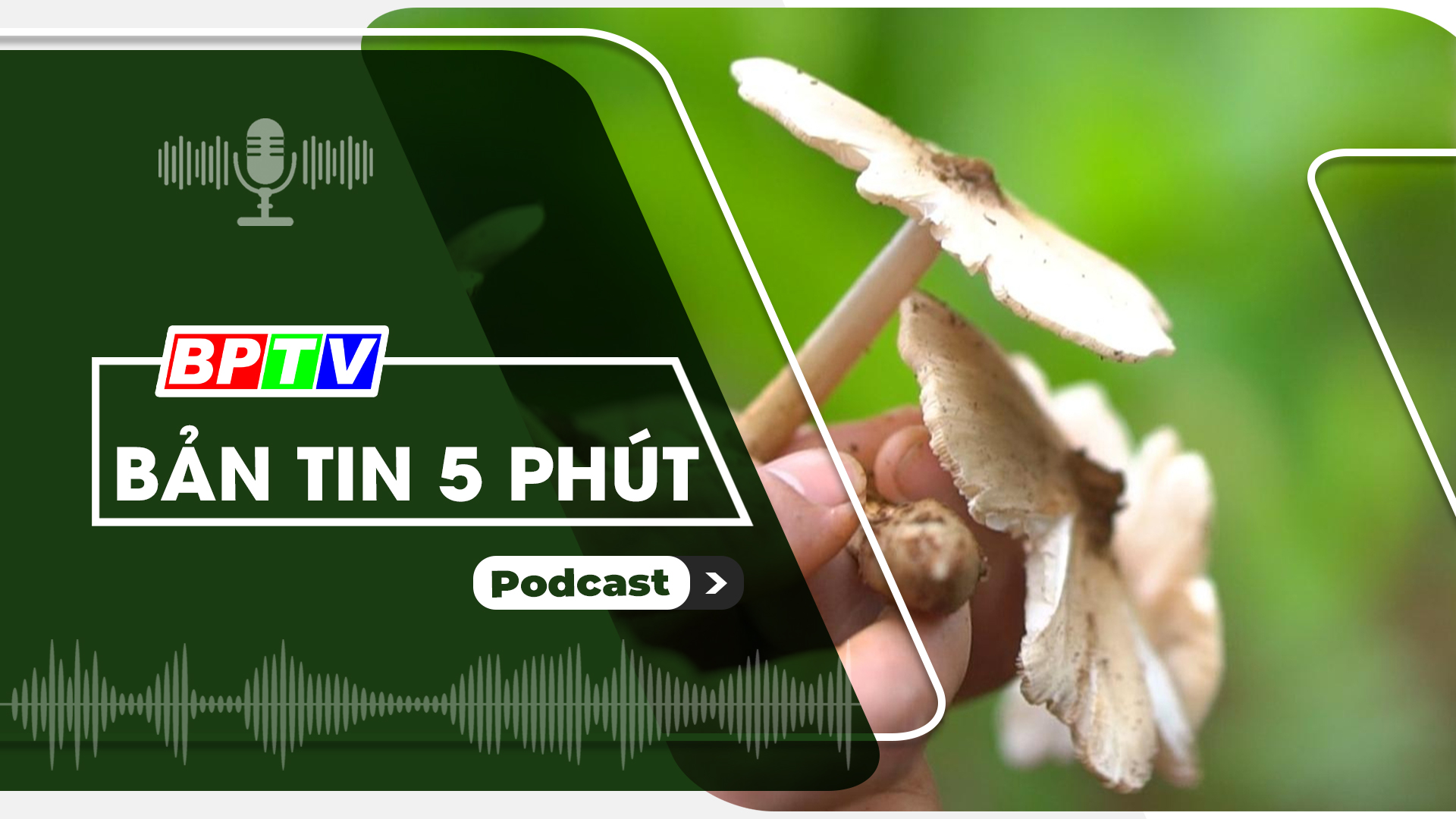 5 phút sáng nay 30-5-2024