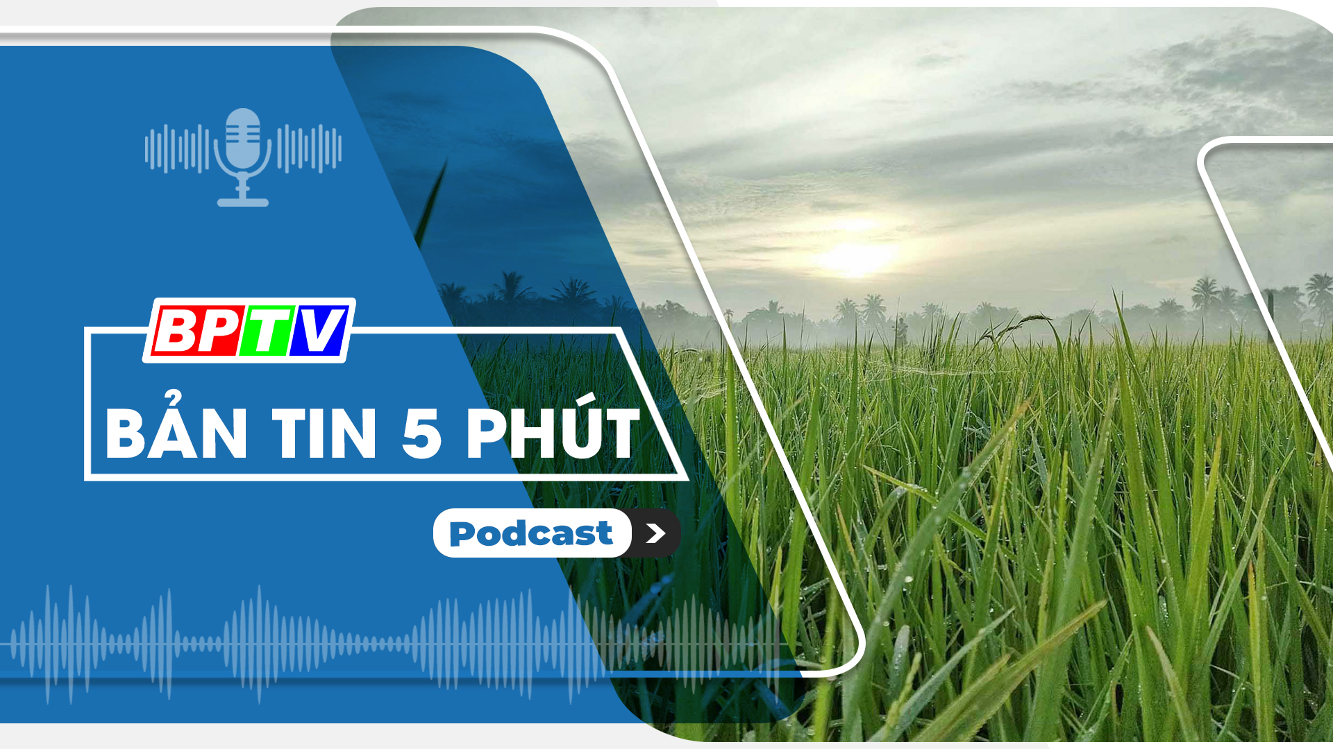 5 phút sáng nay 3-7-2024