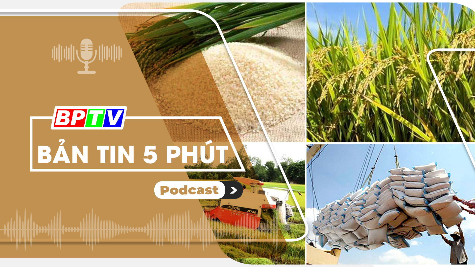 5 phút sáng nay 6-8-2024 5 phút sáng nay 6-8-2024