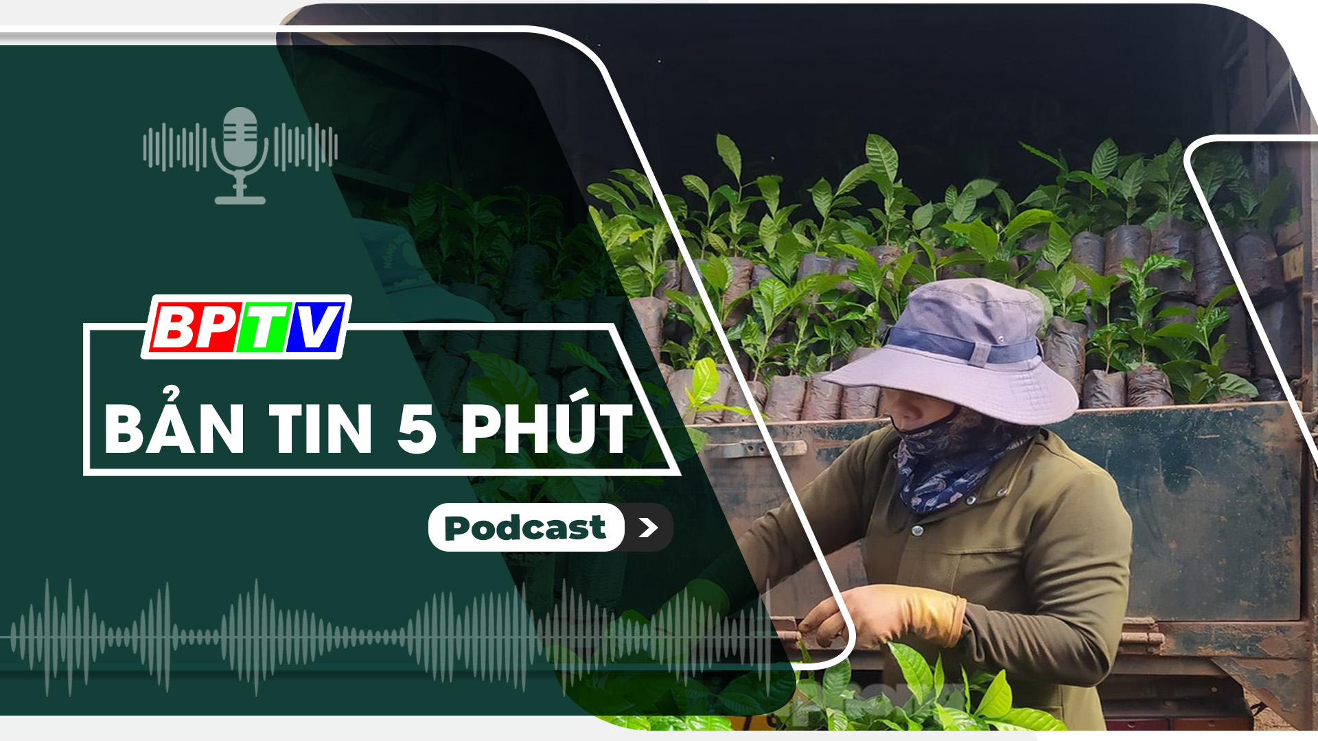 5 phút sáng nay 8-6-2024