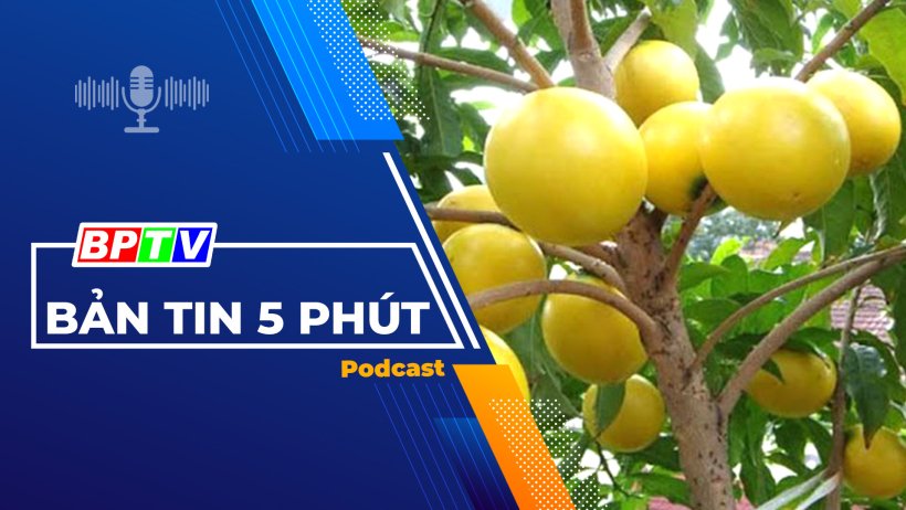 5 phút sáng nay 9-12-2023