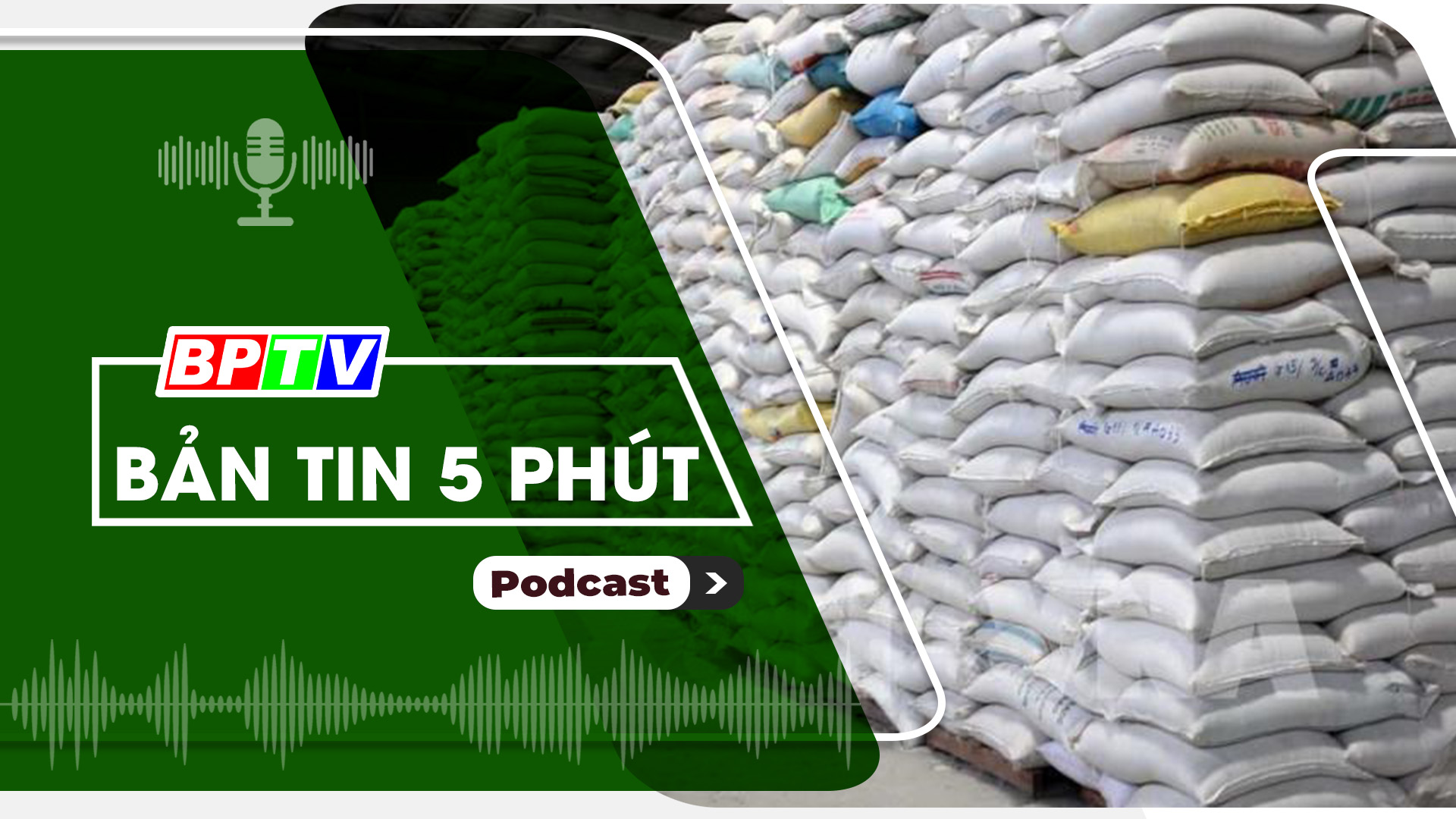 5 phút tối nay 10-9-2024