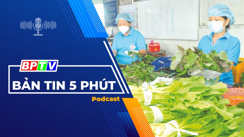 5 phút tối nay 11-1-2024