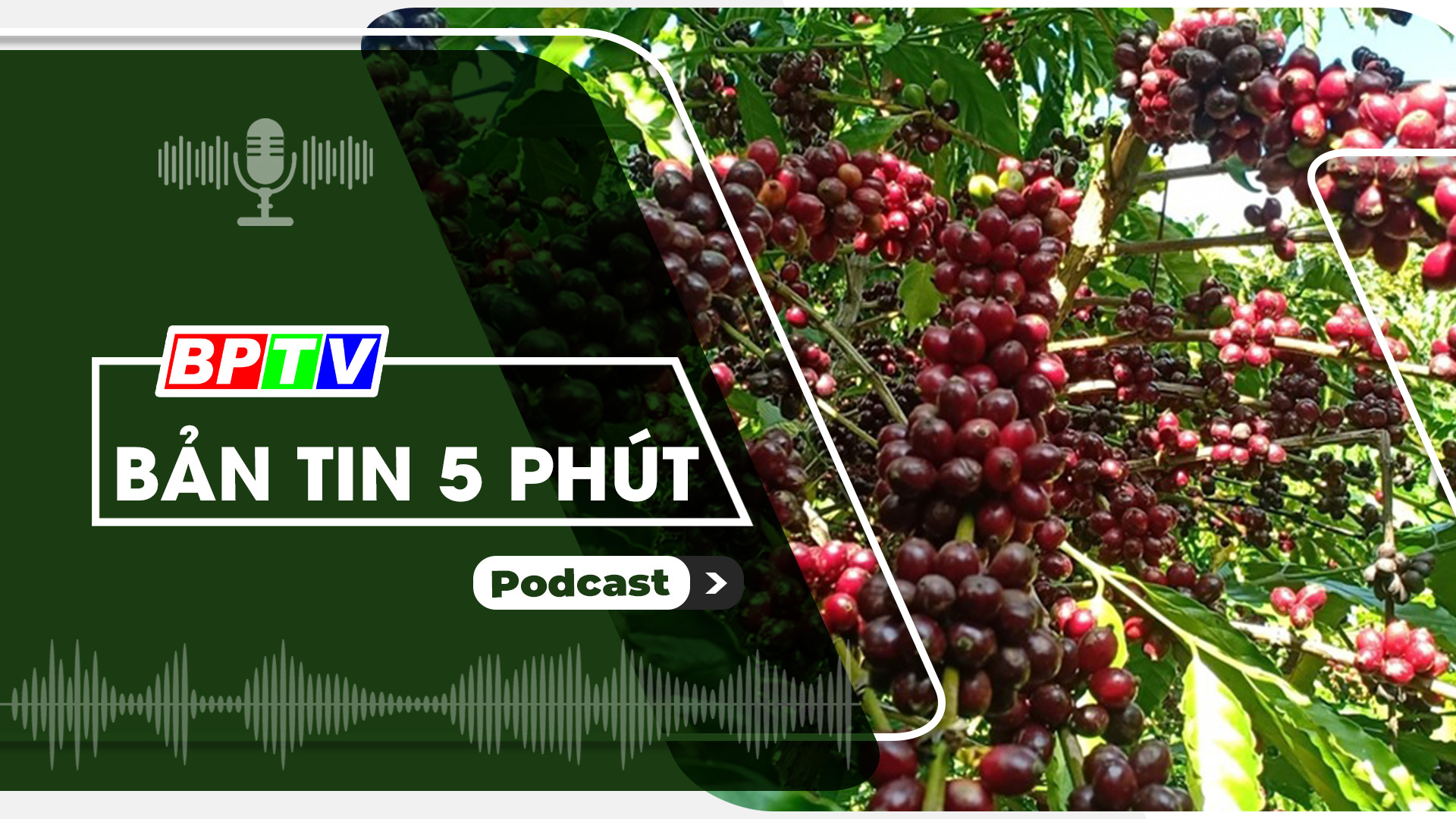 5 phút tối nay 11-5-2024 5 phút tối nay 11-5-2024