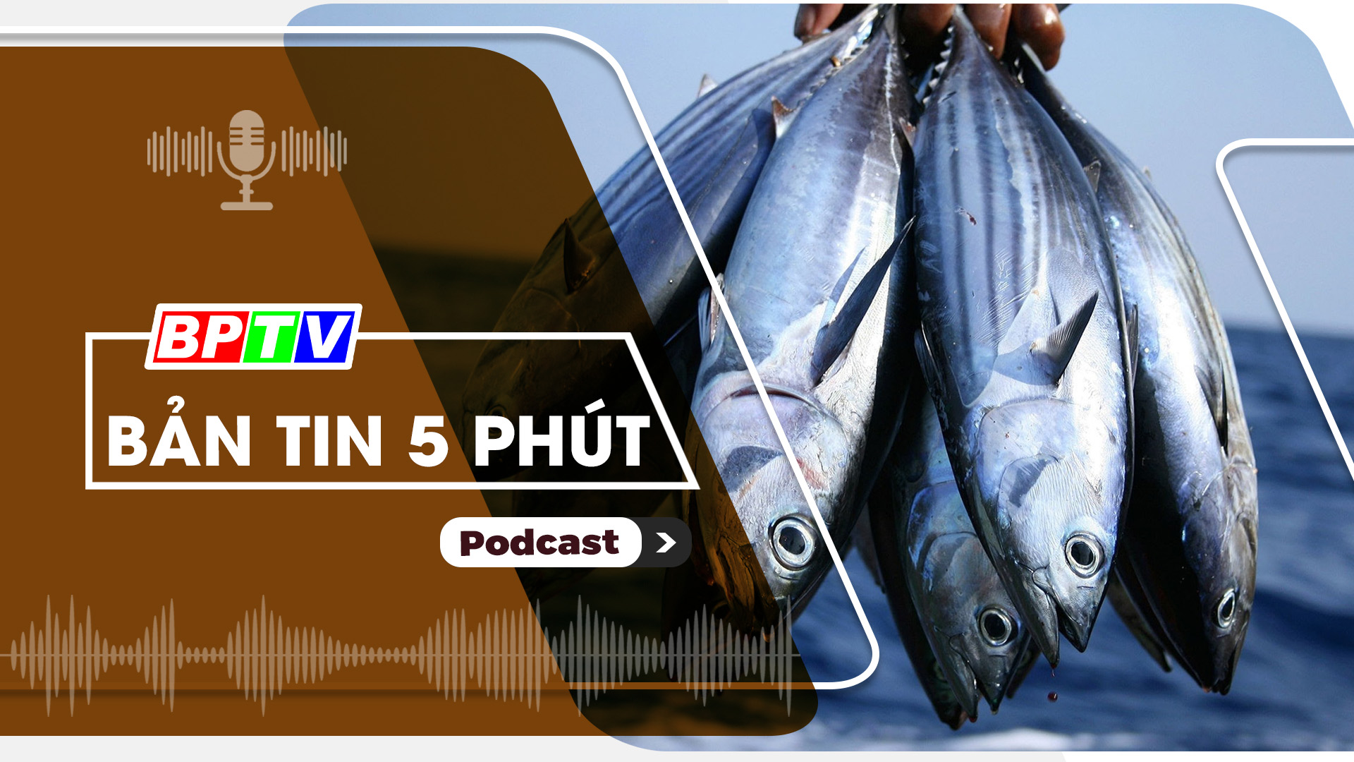 5 phút tối nay 12-10-2024