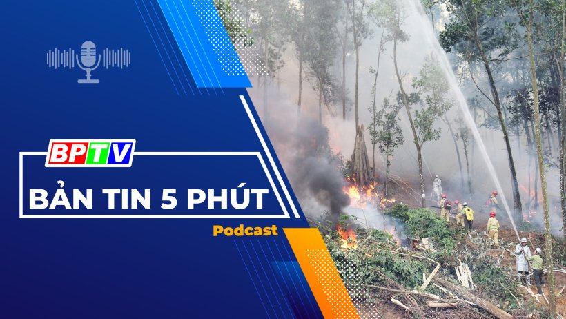 5 phút tối nay 12-2-2024 5 phút tối nay 12-2-2024