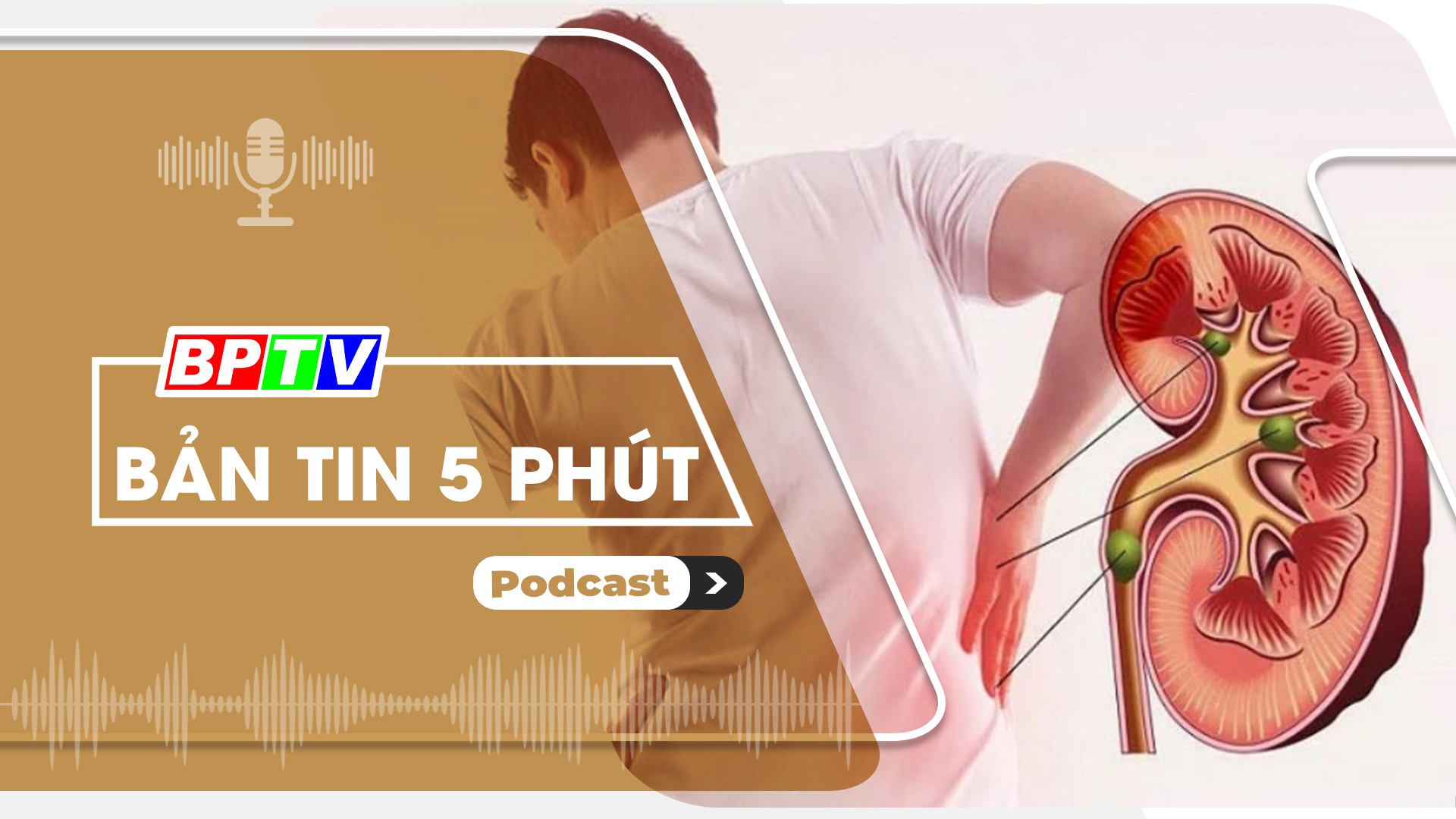 5 phút tối nay 13-8-2024