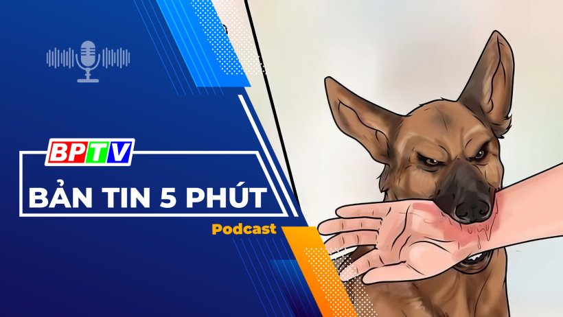 5 phút tối nay 17-3-2024